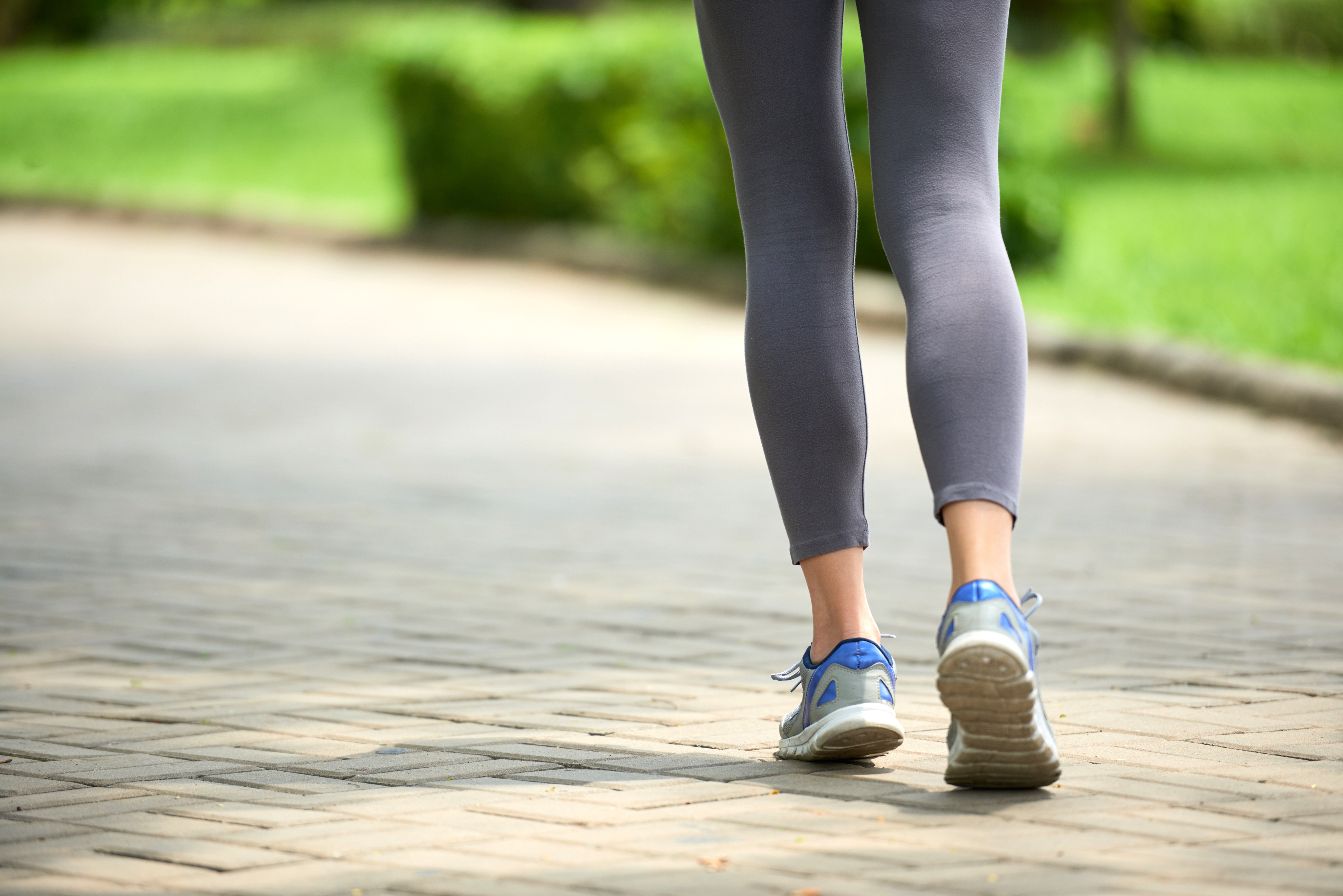 Walking Track