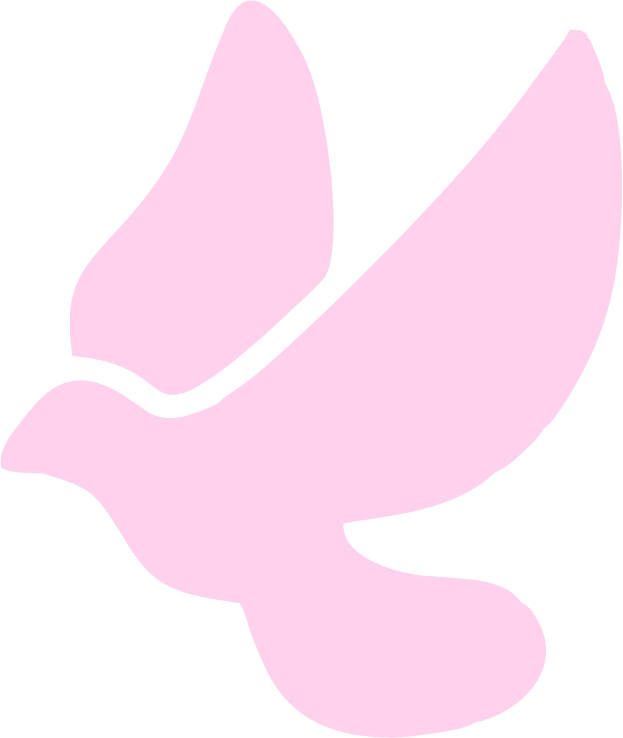 Bird Logo